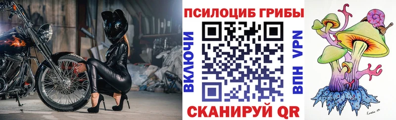 Псилоцибиновые грибы MAGIC MUSHROOMS  Купить  Горячеводский 